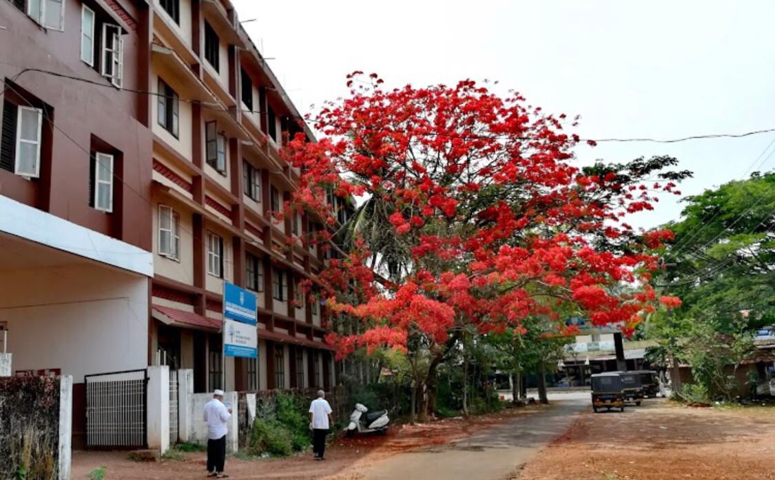 Aliya Senior Secondary School